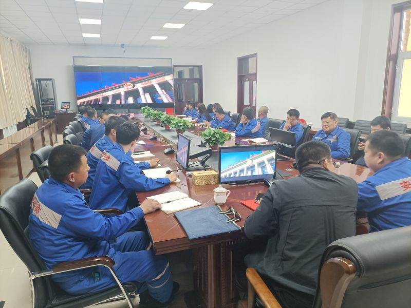 美狮贵宾会会员登录网址矿业党委关于开展“党史学习教育”动员大会 